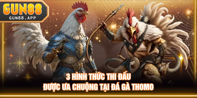 3 hình thức thi đấu được ưa chuộng tại đá gà Thomo