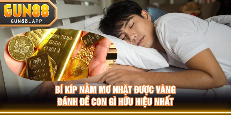 Bí kíp nằm mơ nhặt được vàng đánh đề con gì hữu hiệu nhất