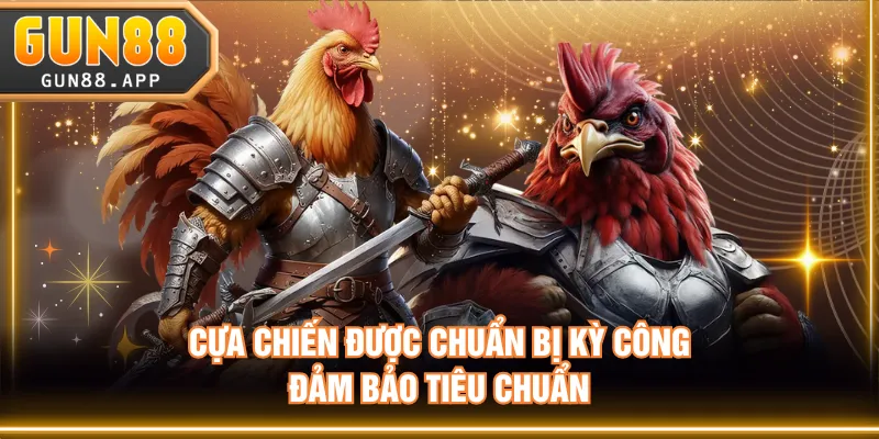 Cựa chiến được chuẩn bị kỳ công, đảm bảo tiêu chuẩn