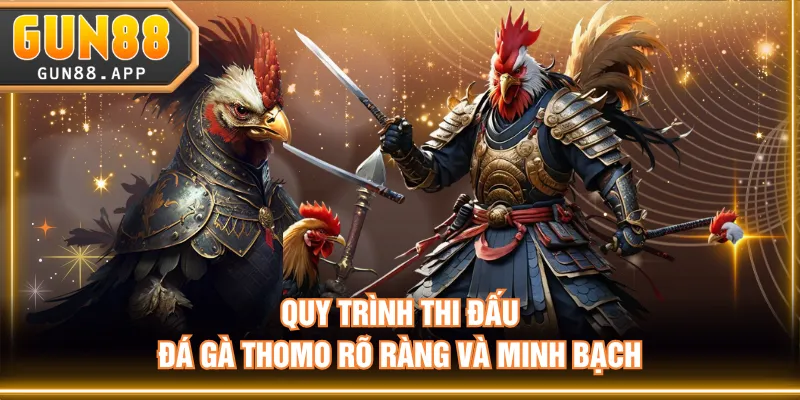 Quy trình thi đấu đá gà Thomo rõ ràng và minh bạch
