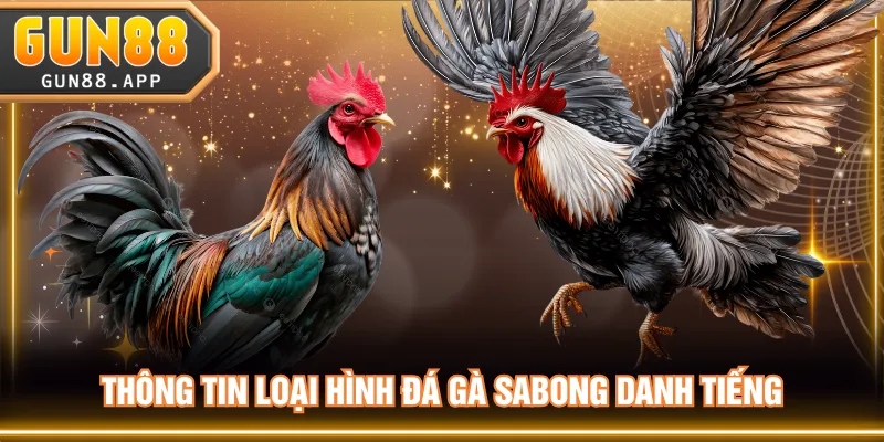 Thông tin loại hình đá gà Sabong danh tiếng
